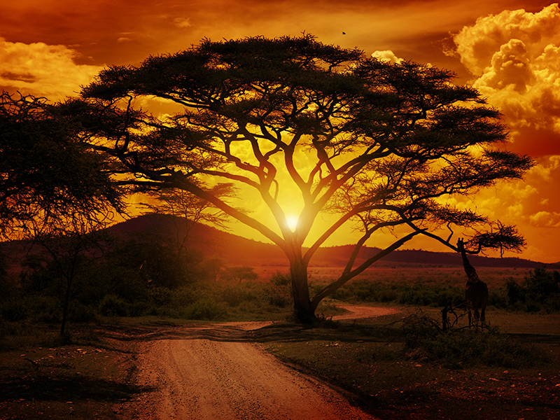 South Africa